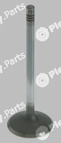Pika 280-2007 — Intake Valve