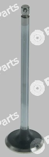 Pika 280-1717 — Intake Valve