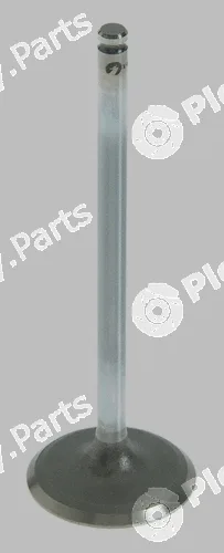 Pika 280-2058 — Intake Valve