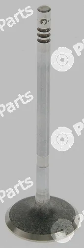 Pika 280-1964 — Intake Valve