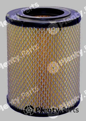 Pika 257-1173 — Air Filter