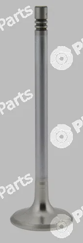 Pika 280-2006 — Exhaust Valve