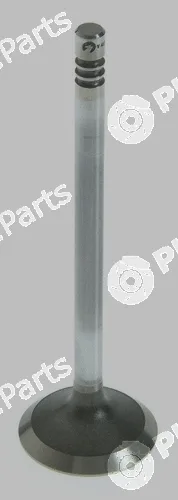 Pika 280-1998 — Exhaust Valve