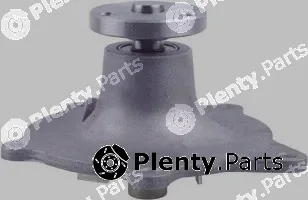 Pika 10E-1385 — Water Pump, engine cooling