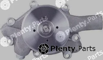 Pika 10E-1004 — Water Pump, engine cooling