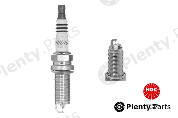 NGK 1501 — Spark Plug