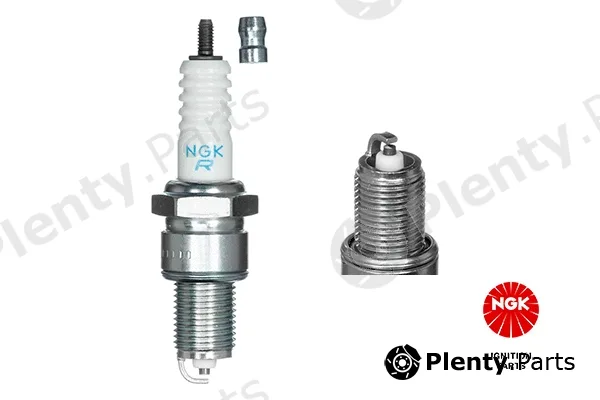 NGK 2023 — Spark Plug