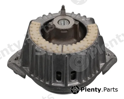 Swag 10101055 — Mounting, engine