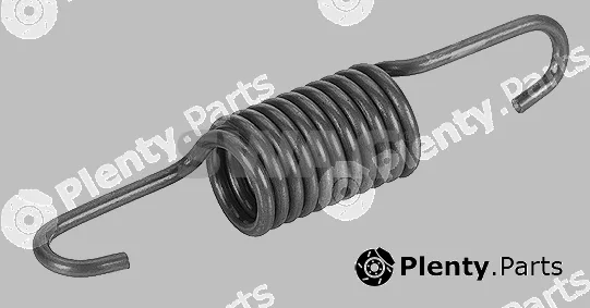 Swag 50919324 — Tension Spring, tensioner pulley (timing belt)