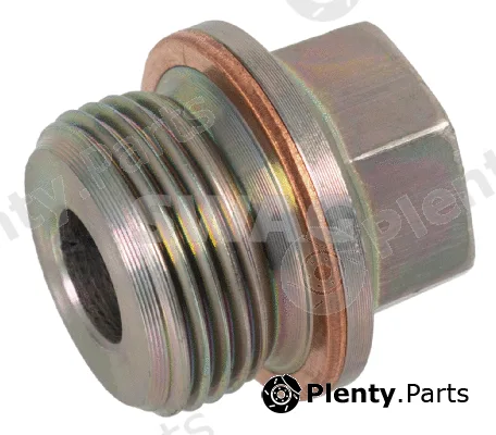 Swag 11937589 — Screw Plug, timing chain tensioner