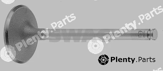 Swag 10915359 — Intake Valve