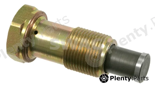 Swag 30100002 — Tensioner, timing chain