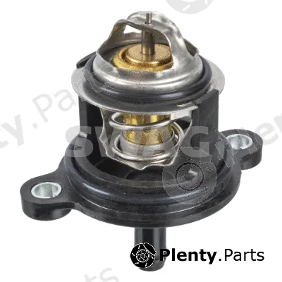 Swag 33102009 — Thermostat, coolant