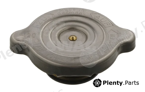 Swag 10990009 — Cap, coolant tank