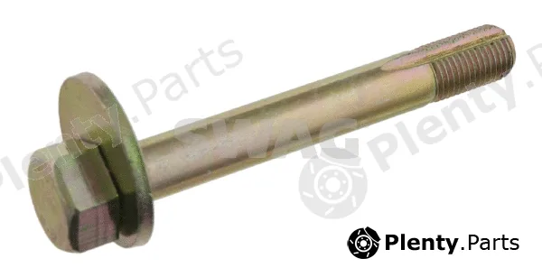 Swag 10901659 — Camber Correction Screw