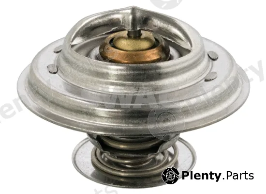 Swag 10912254 — Thermostat, coolant