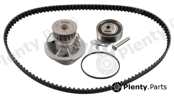 Swag 33101709 — Water Pump & Timing Belt Kit