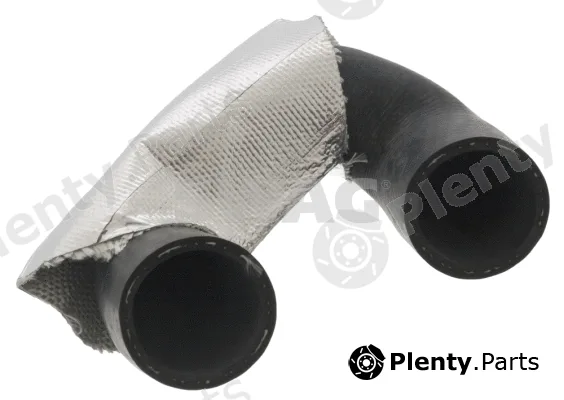 Swag 20100616 — Radiator Hose