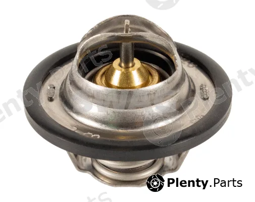 Swag 60924028 — Thermostat, coolant