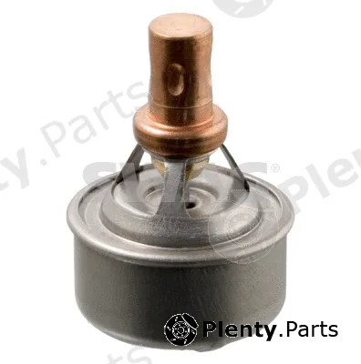 Swag 60909328 — Thermostat, coolant