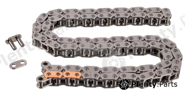 Swag 33100953 — Timing Chain