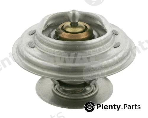 Swag 10909676 — Thermostat, coolant