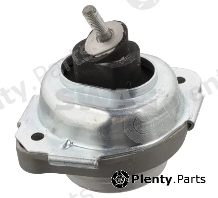 Swag 20931018 — Mounting, engine
