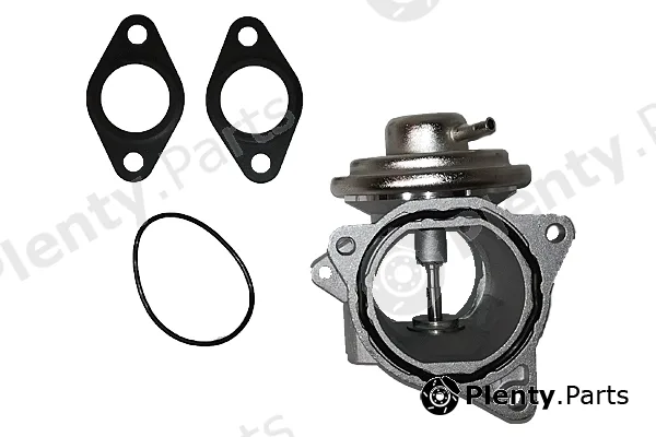 Bugiad BGR13003 — EGR Valve