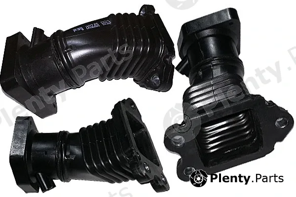 Bugiad BSP25247 — Intake Hose, air filter