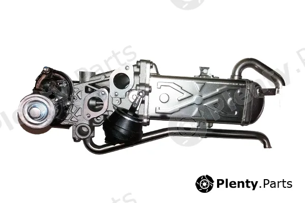 Bugiad BSP25011 — EGR Valve