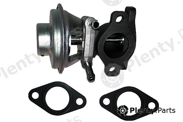 Bugiad BGR13056 — EGR Valve
