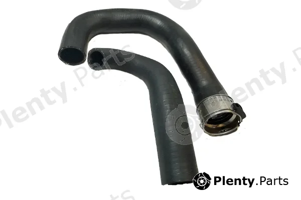 Bugiad 85620 — Charge Air Hose