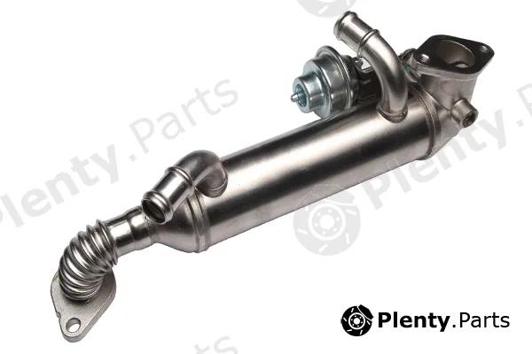 Bugiad BGR13101 — EGR Valve