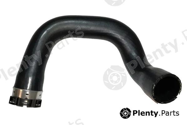 Bugiad 81753 — Charge Air Hose