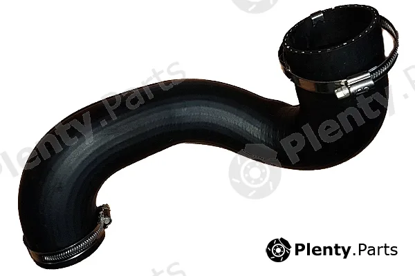 Bugiad 88818 — Charge Air Hose