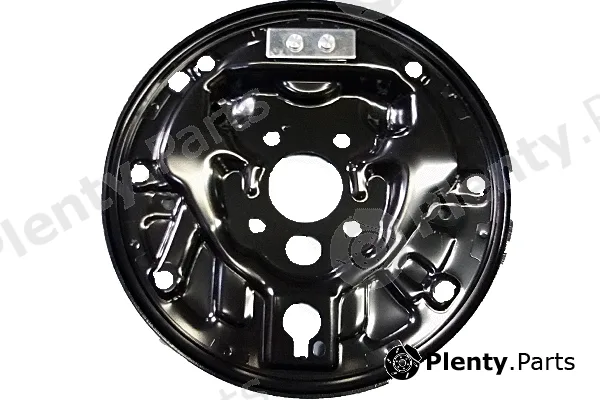 Bugiad BSP24418 — Brake Mounting Plate