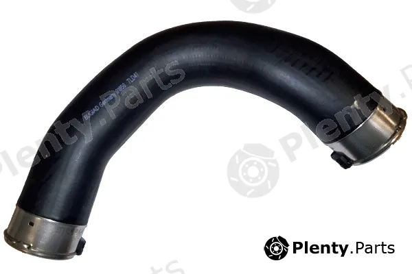 Bugiad 81858 — Charge Air Hose