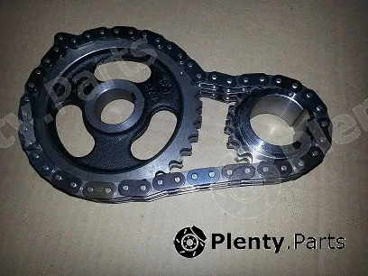 Bugiad BSP21931 — Timing Chain