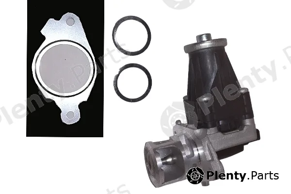 Bugiad BGR13090 — EGR Valve
