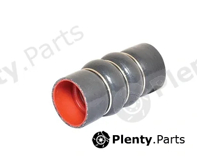 Bugiad 88641 — Charge Air Hose