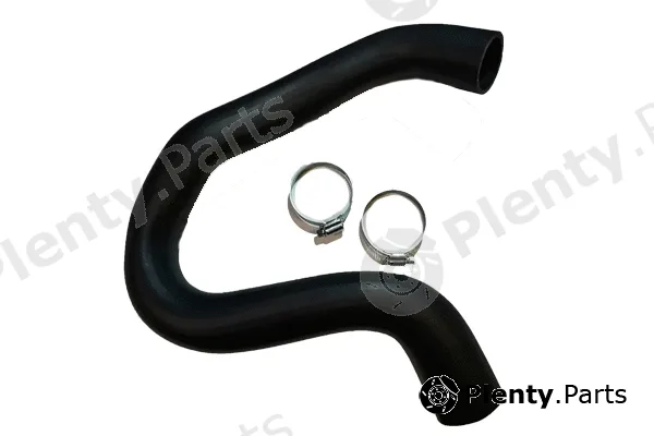 Bugiad 81888 — Charge Air Hose