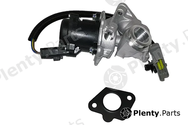 Bugiad BGR13068 — EGR Valve