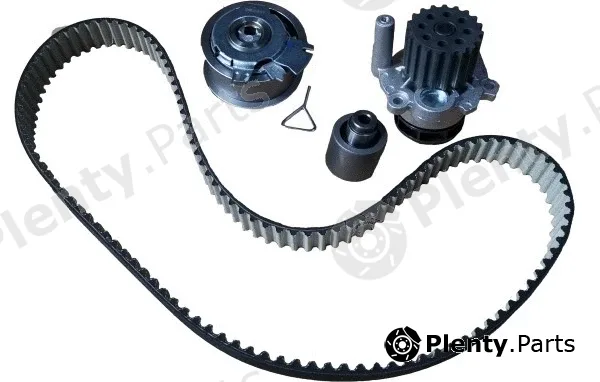 Bugiad BTB56501 — Water Pump & Timing Belt Kit