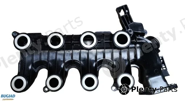 Bugiad BIM17014 — Intake Manifold, air supply