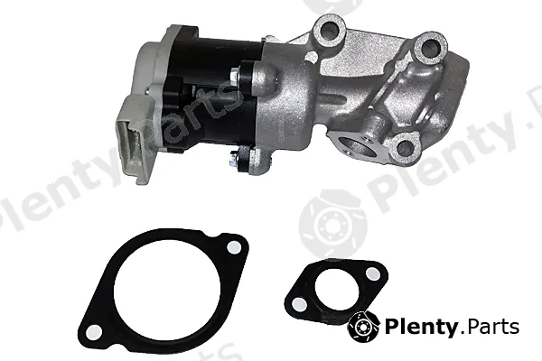 Bugiad BGR13077 — EGR Valve