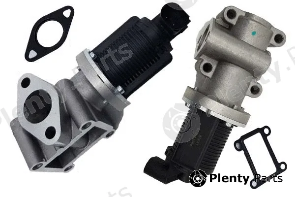 Bugiad BGR13054 — EGR Valve