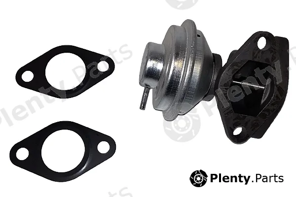Bugiad BGR13031 — EGR Valve