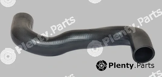 Bugiad 88723 — Charge Air Hose
