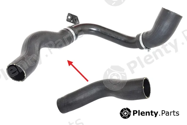 Bugiad 88413 — Charge Air Hose