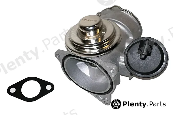 Bugiad BGR13017 — EGR Valve
